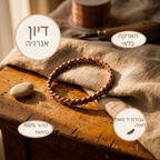 צמיד הברונזה של מאיה