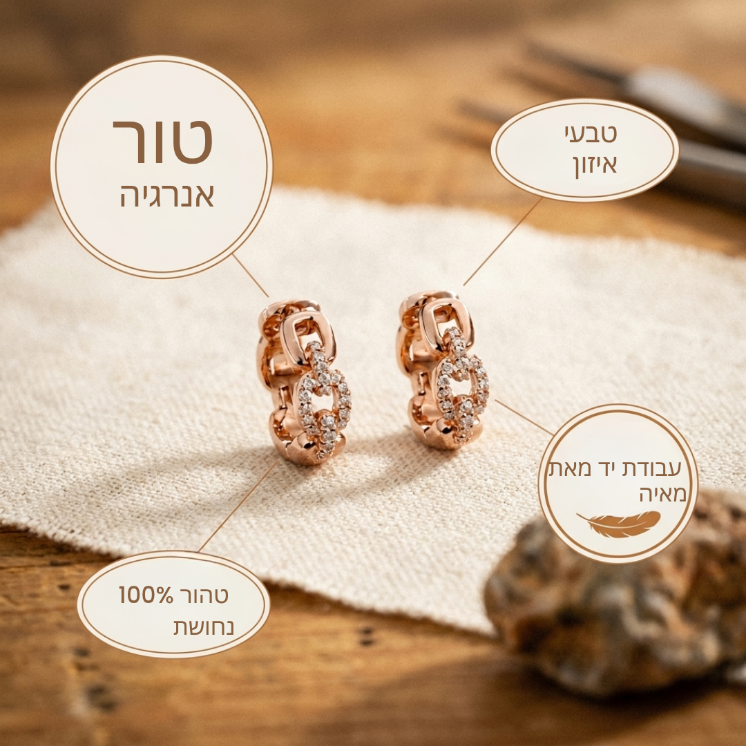 עגילי הכסף והטורקיז של מאיה